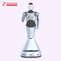 Enquête et achat Robot humanoïde Guid Dreambot